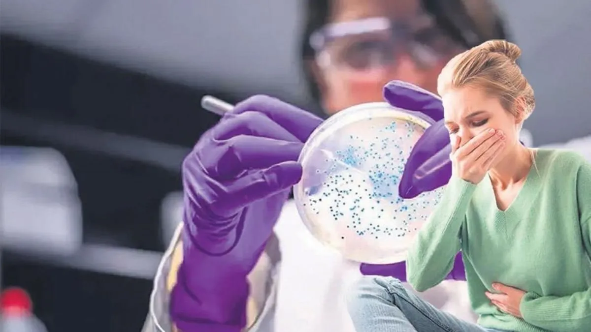 Az pişmiş tavukta salmonella tehlikesi