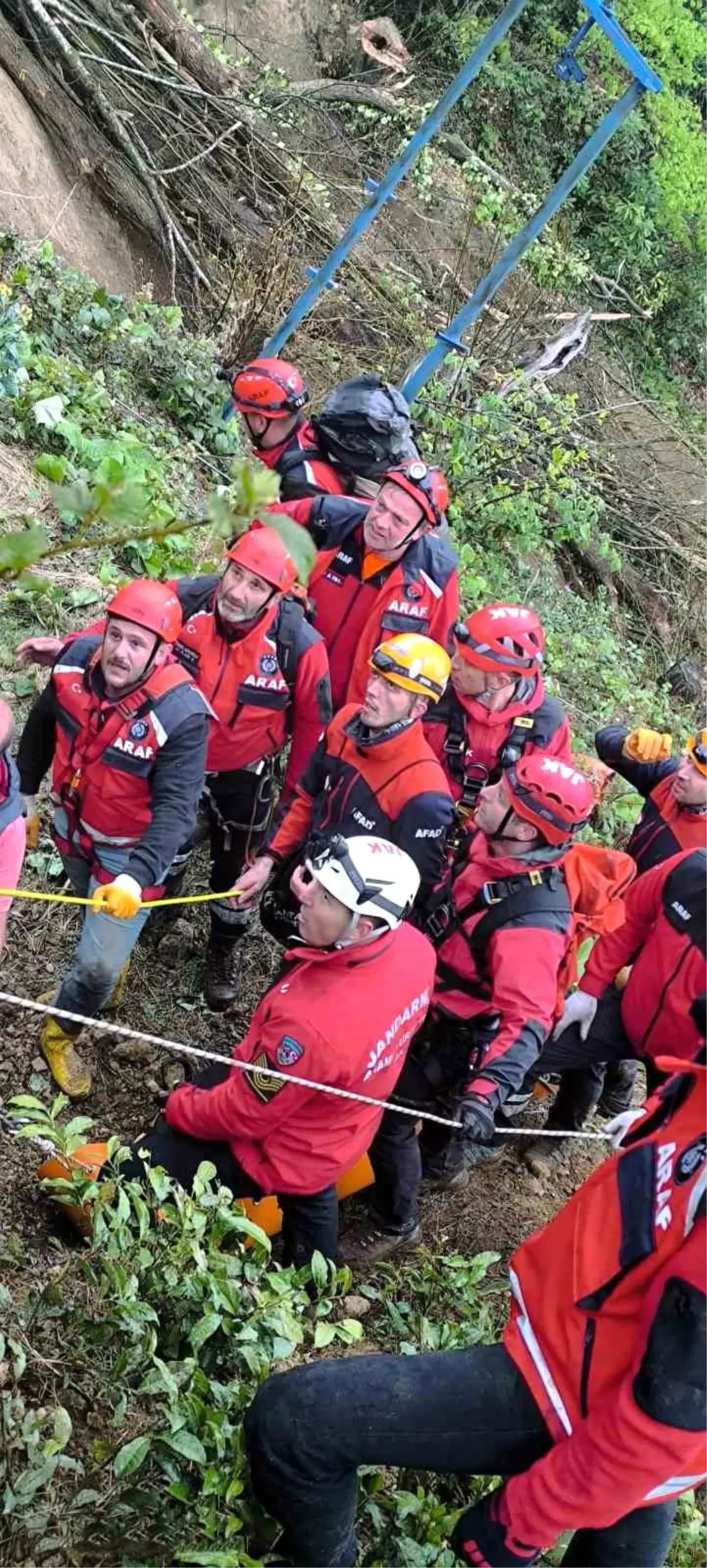 Rize’de Ağaç Devrilmesi Sonucu Ölümlü Kaza